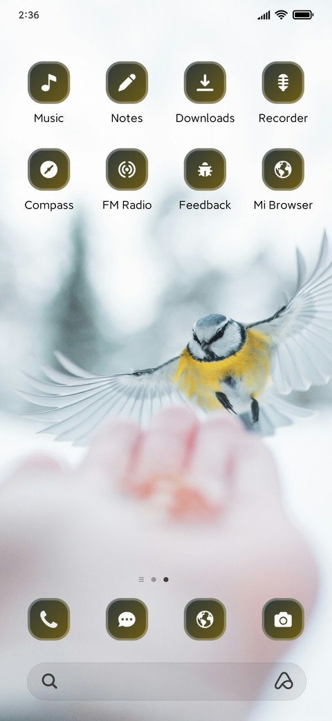Winter Bird screenshot