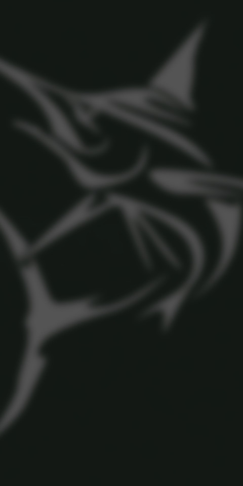 Sailfish V10 screenshot