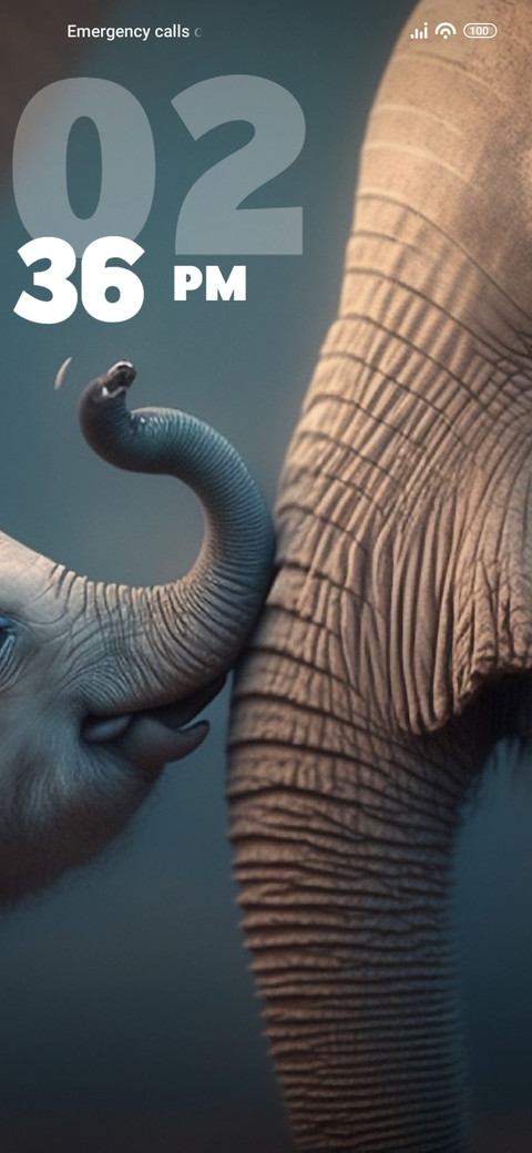 Elephant screenshot