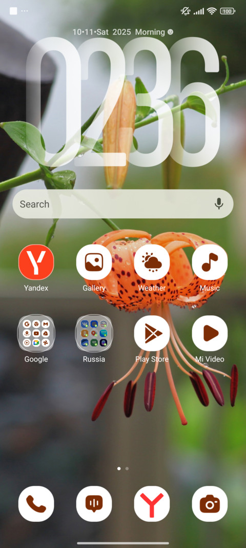 Morning Lily screenshot