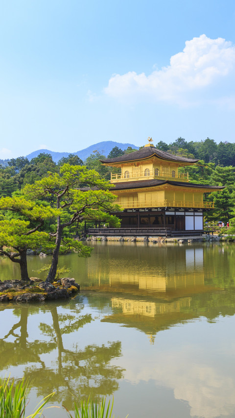 Golden Temple Amidst Nature, A Gateway to Inner Peace screenshot