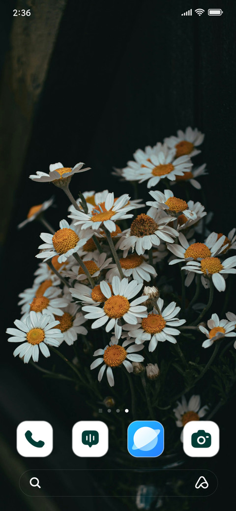 Spring Vases screenshot