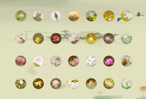 Hạ●Vũ●Hà screenshot