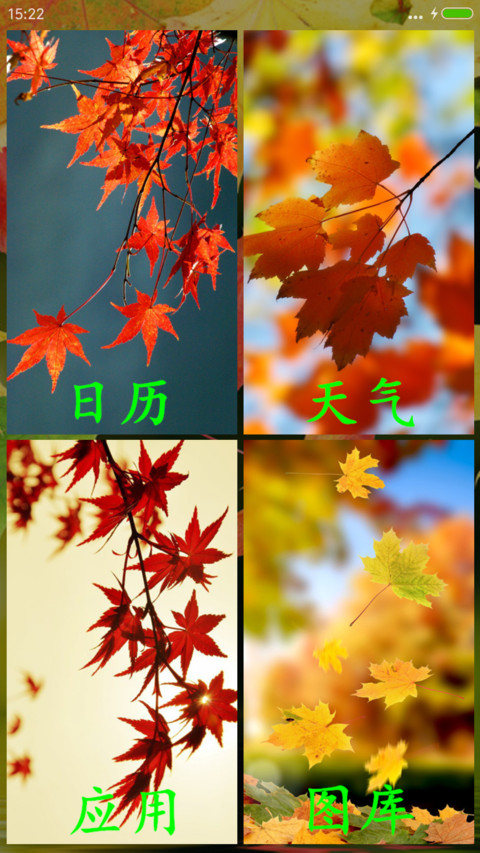 红枫（动态桌面） screenshot