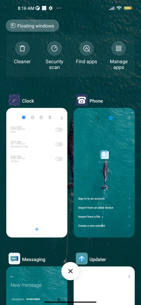 Whale emergence screenshot