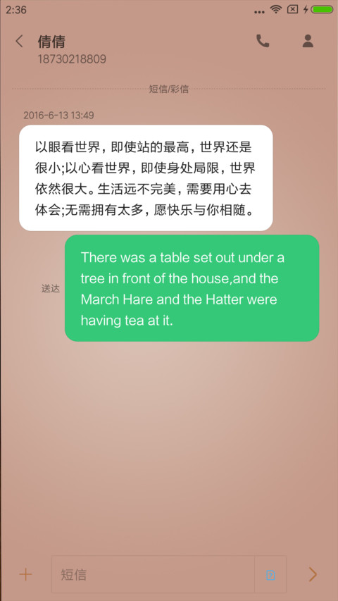简约 screenshot