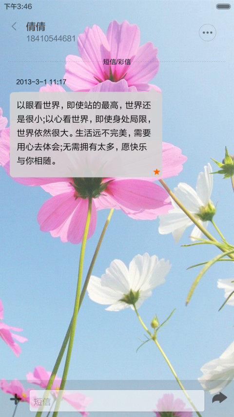 清新简约波斯花 screenshot