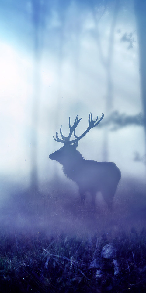 I one screenshot