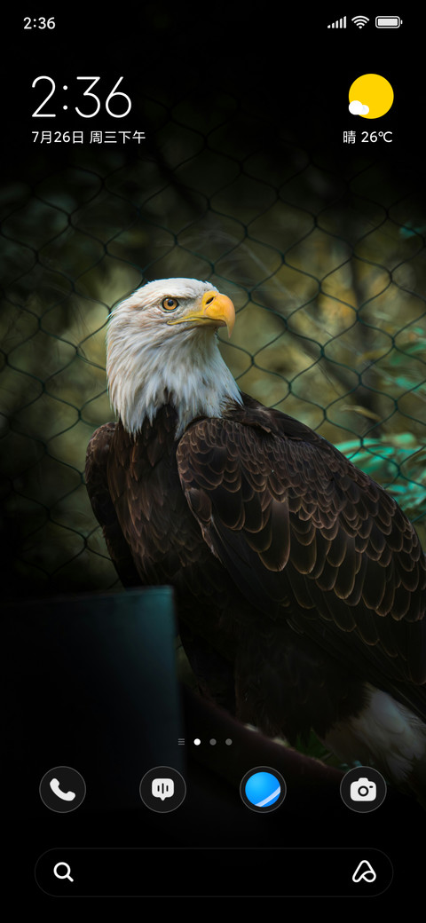 Eagle Watch screenshot