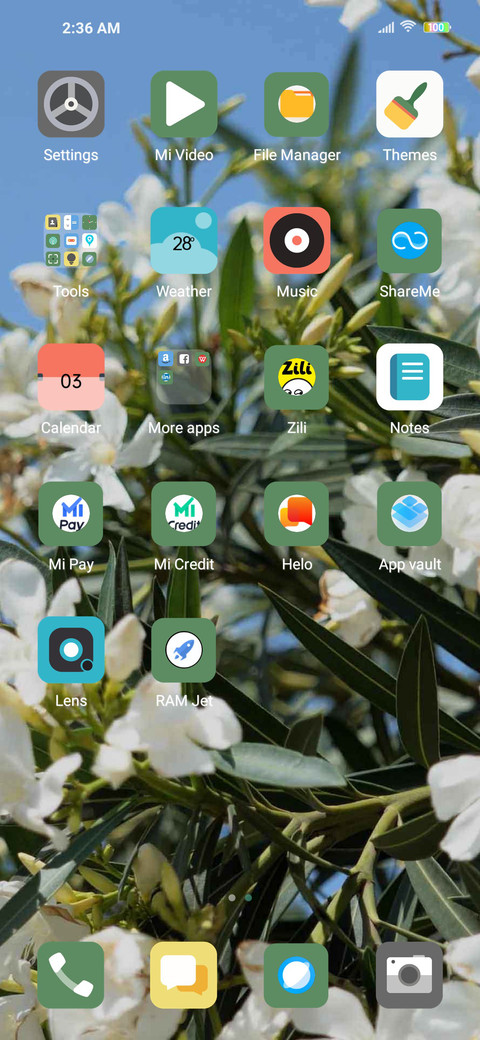 Blossoms screenshot