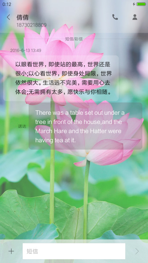 护眼荷花 screenshot