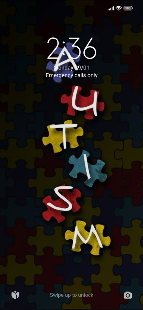 Autiscv27 screenshot