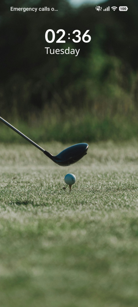 Club Swing screenshot