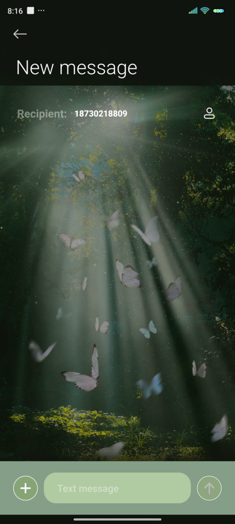 Butterfly Effect screenshot