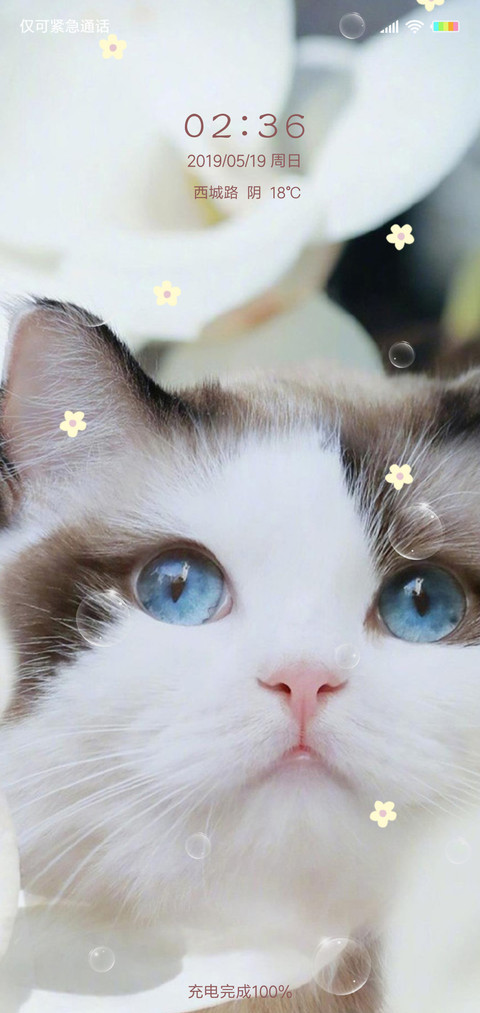 多壁纸可爱猫咪喵G screenshot