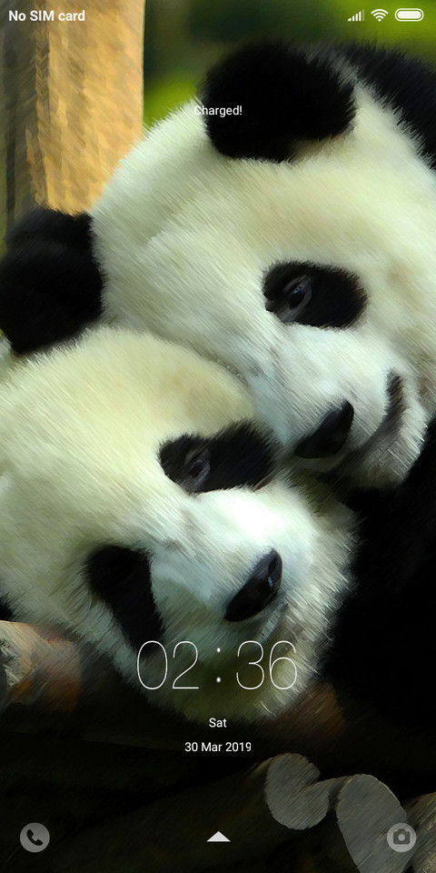 cute PANDA In Designs  screenshot