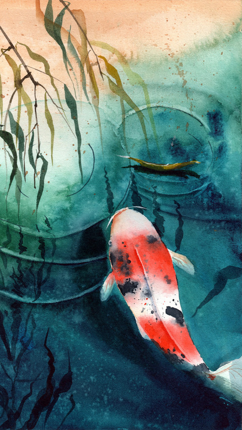 Lucky Koi Fish Illustration screenshot
