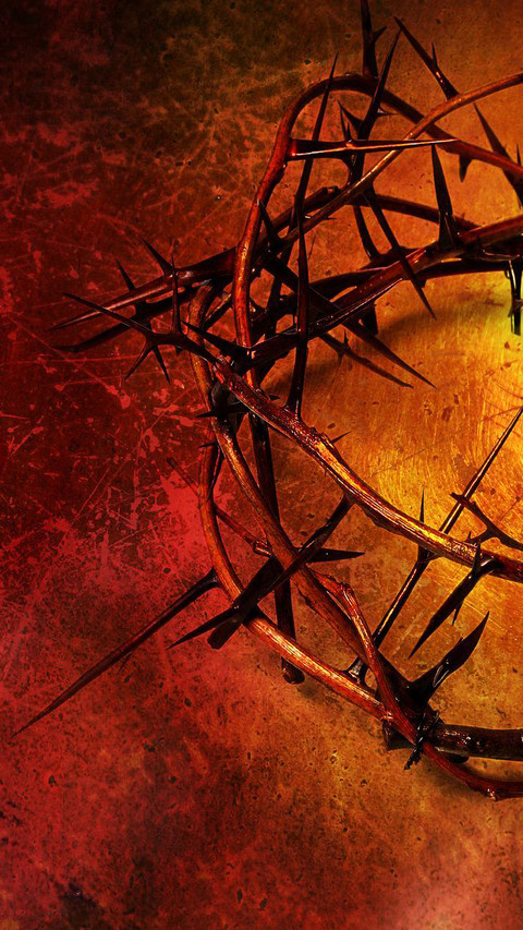 Crown of Thorns Red screenshot