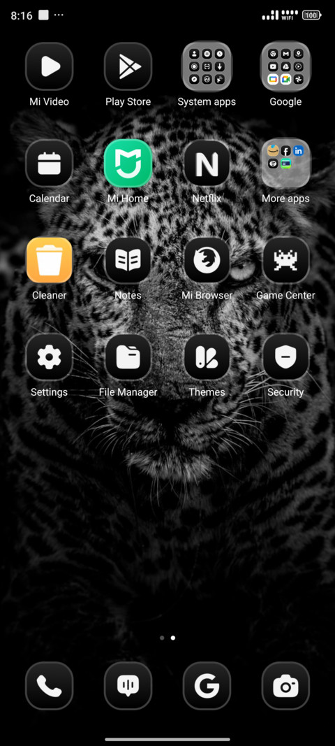 Grayscale Leopard screenshot