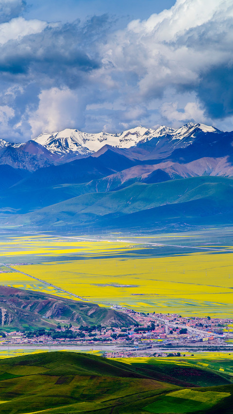 Scenery of rapeseed flowers in menyuan qinghai screenshot