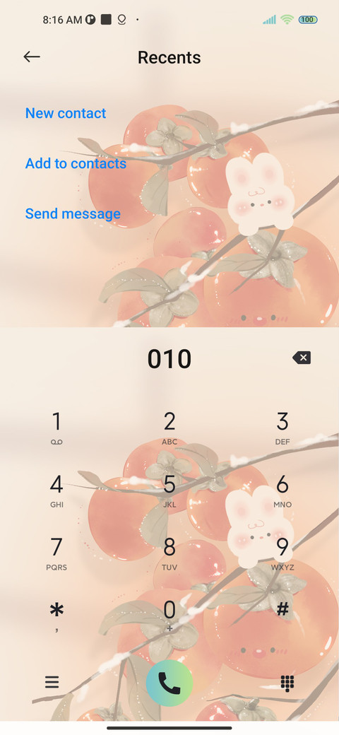 Sweet persimmon screenshot