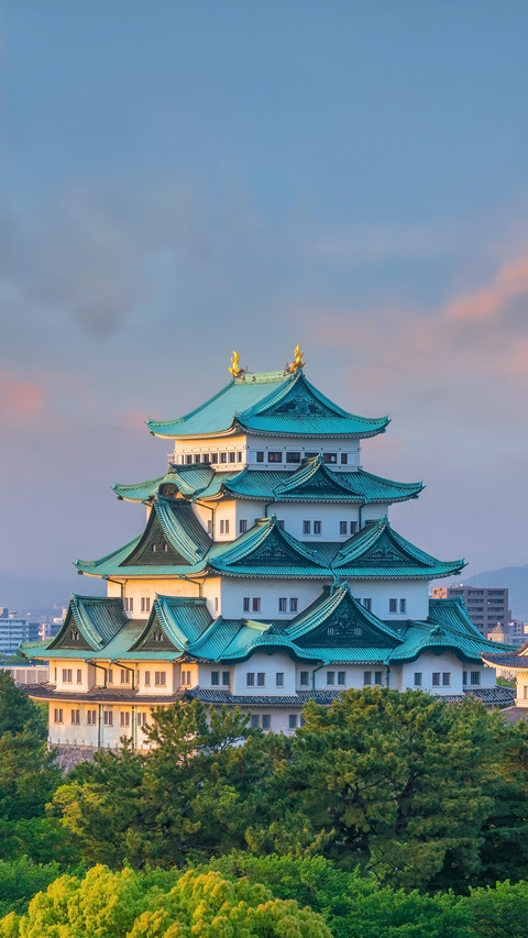 Nagoya Castle and City Skyline in Japan at Beautiful Sunset screenshot
