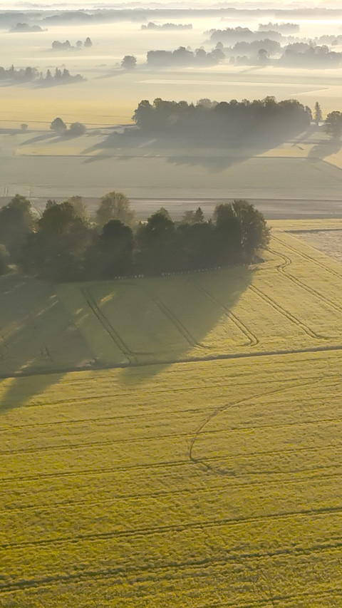 Aerial view of Lithuanian farmland landscape screenshot