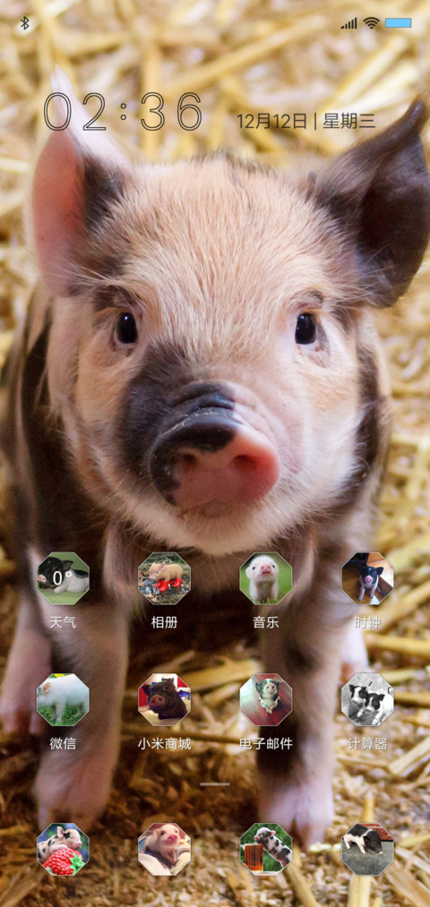 小猪小猪 screenshot