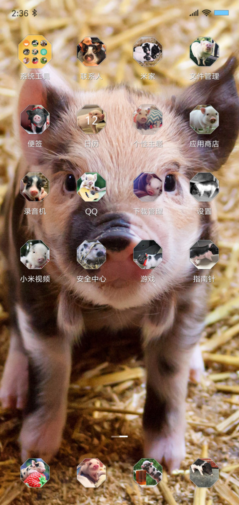 小猪小猪 screenshot