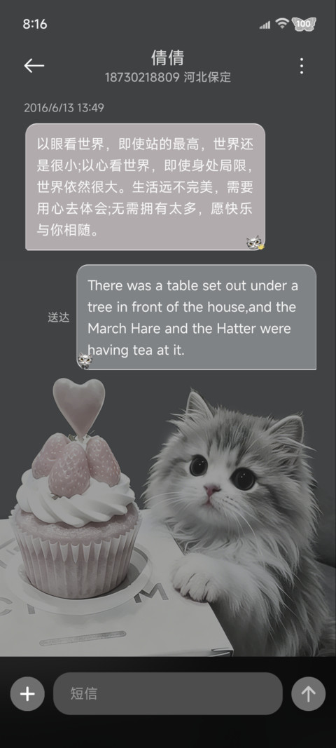 ins幸福小猫被偏爱 screenshot