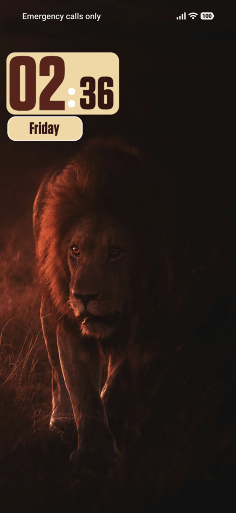 Lion screenshot