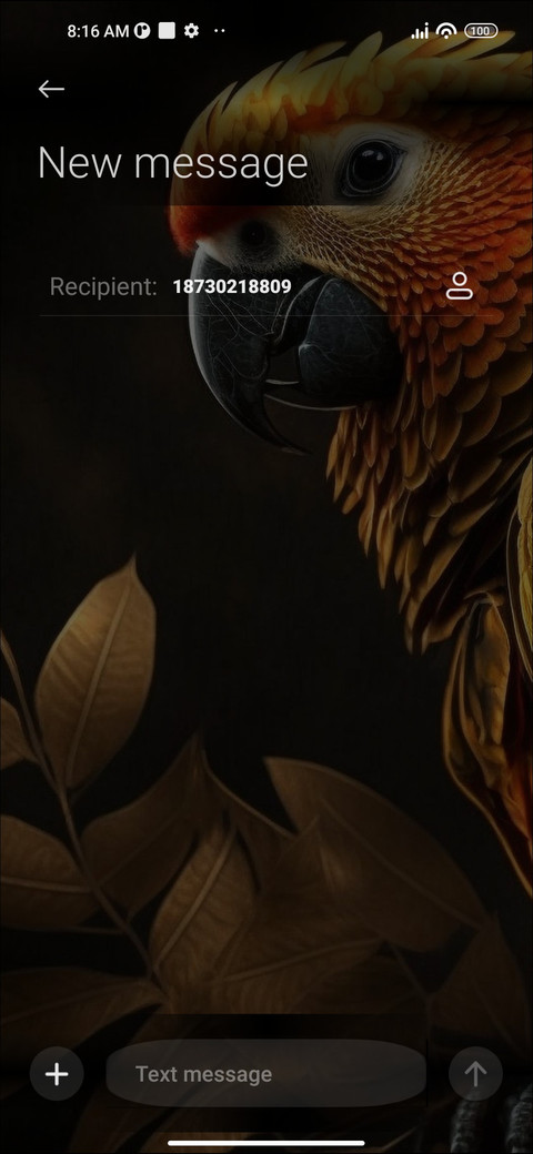 Golden Parrot screenshot
