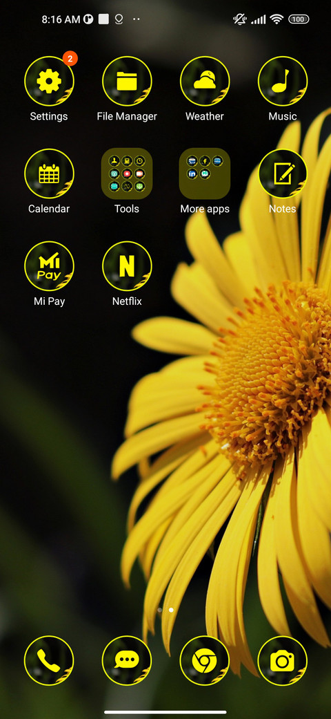 daisy yellow screenshot