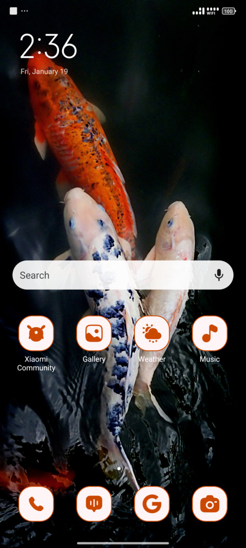 Colorful Fish screenshot
