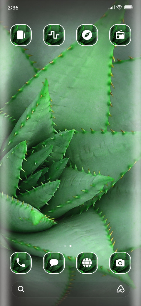 Cactus_3MDS screenshot