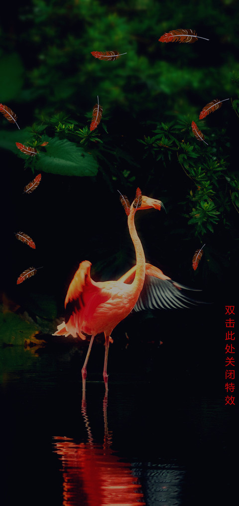 美丽的火烈鸟 screenshot