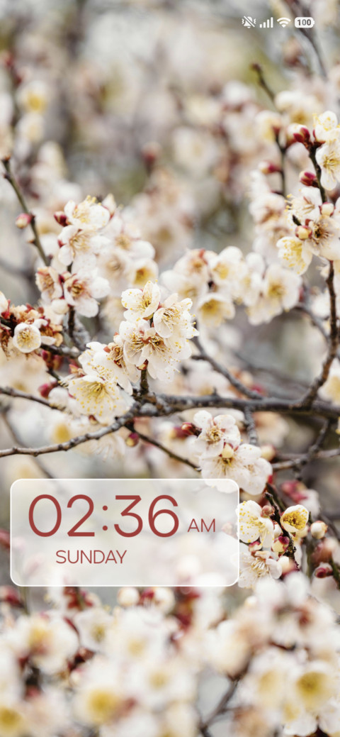 White Flowers screenshot