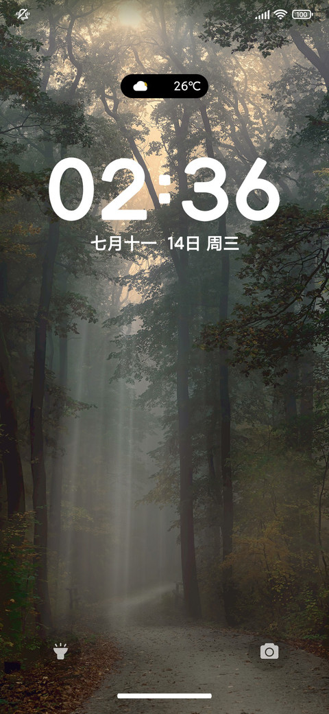 简约夏 绿色森林 screenshot