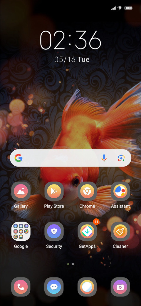 Koi carp screenshot