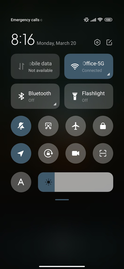 minimal dandelion screenshot