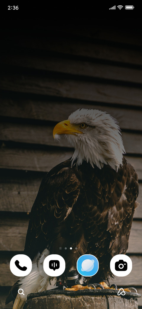 Dark Eagle screenshot