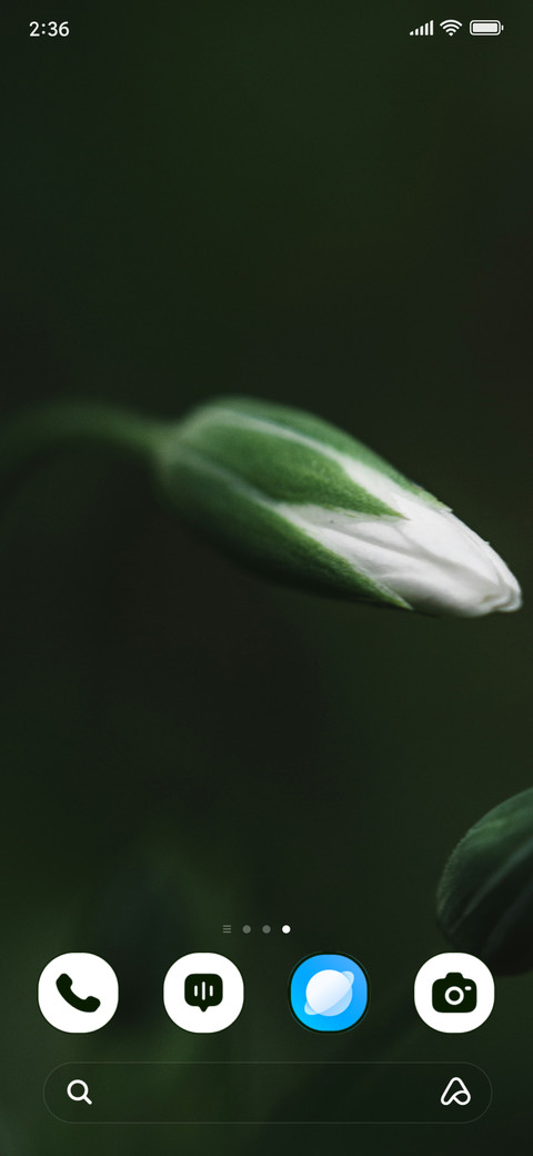 Ivory Bud screenshot