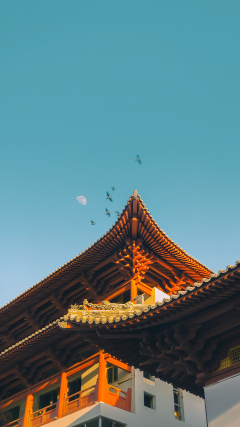 端午节 说走就走的周边游 screenshot