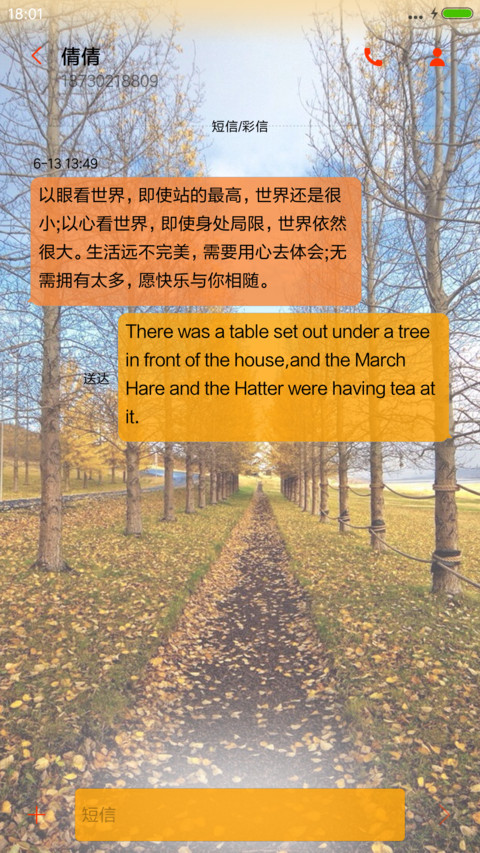秋叶【飘枫叶特效+音乐界面】 screenshot