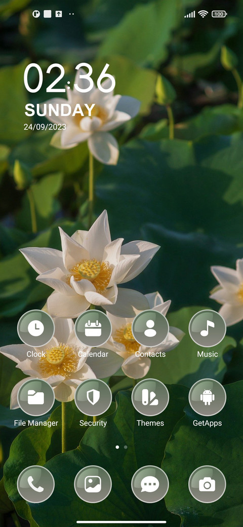White Lotus screenshot