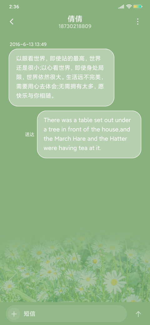清新雏菊只为花忙 screenshot