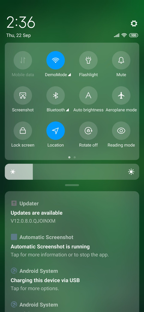 Half Carved Green screenshot