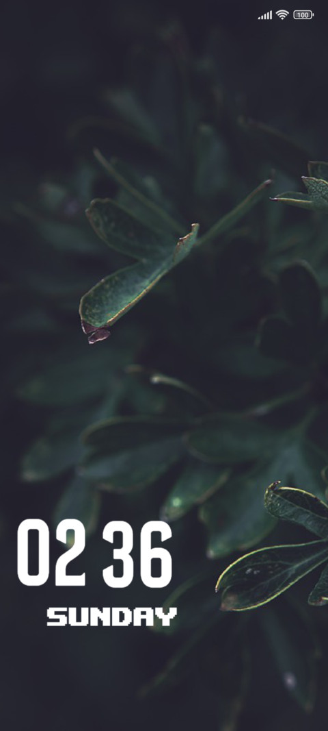 Leaf screenshot