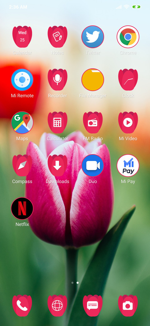 Tulips_3MDP screenshot