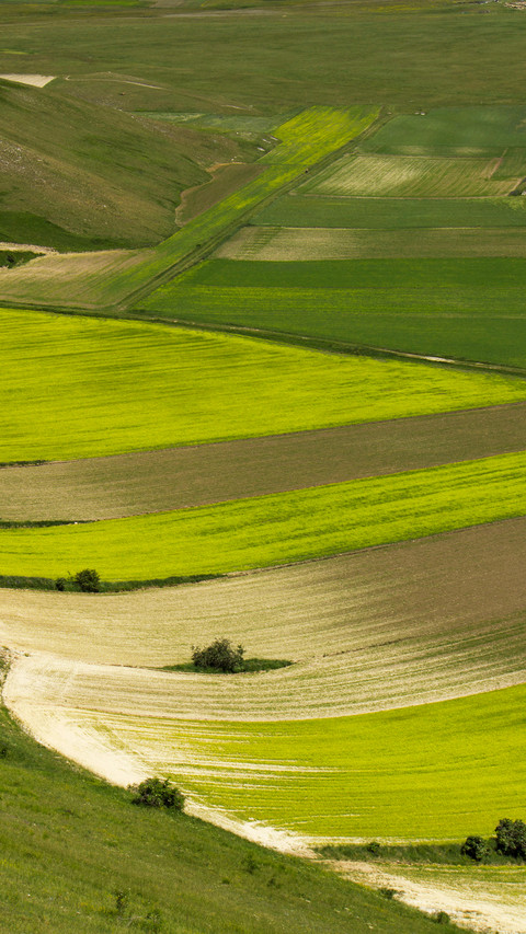 Nature screenshot
